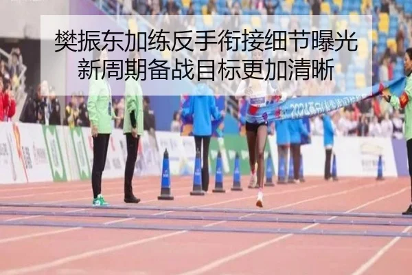 樊振东加练反手衔接细节曝光 新周期备战目标更加清晰
